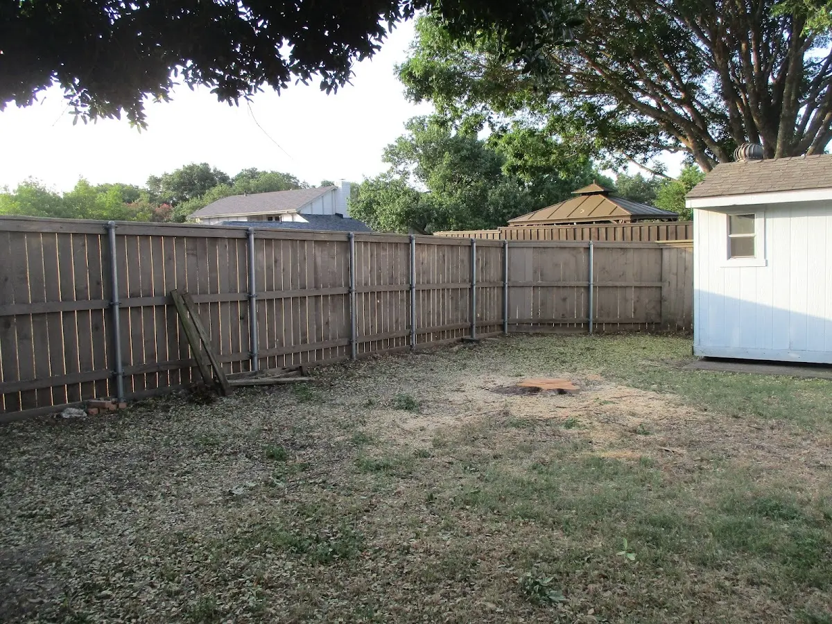 Cleared yard after professional tree removal in Rose Hill