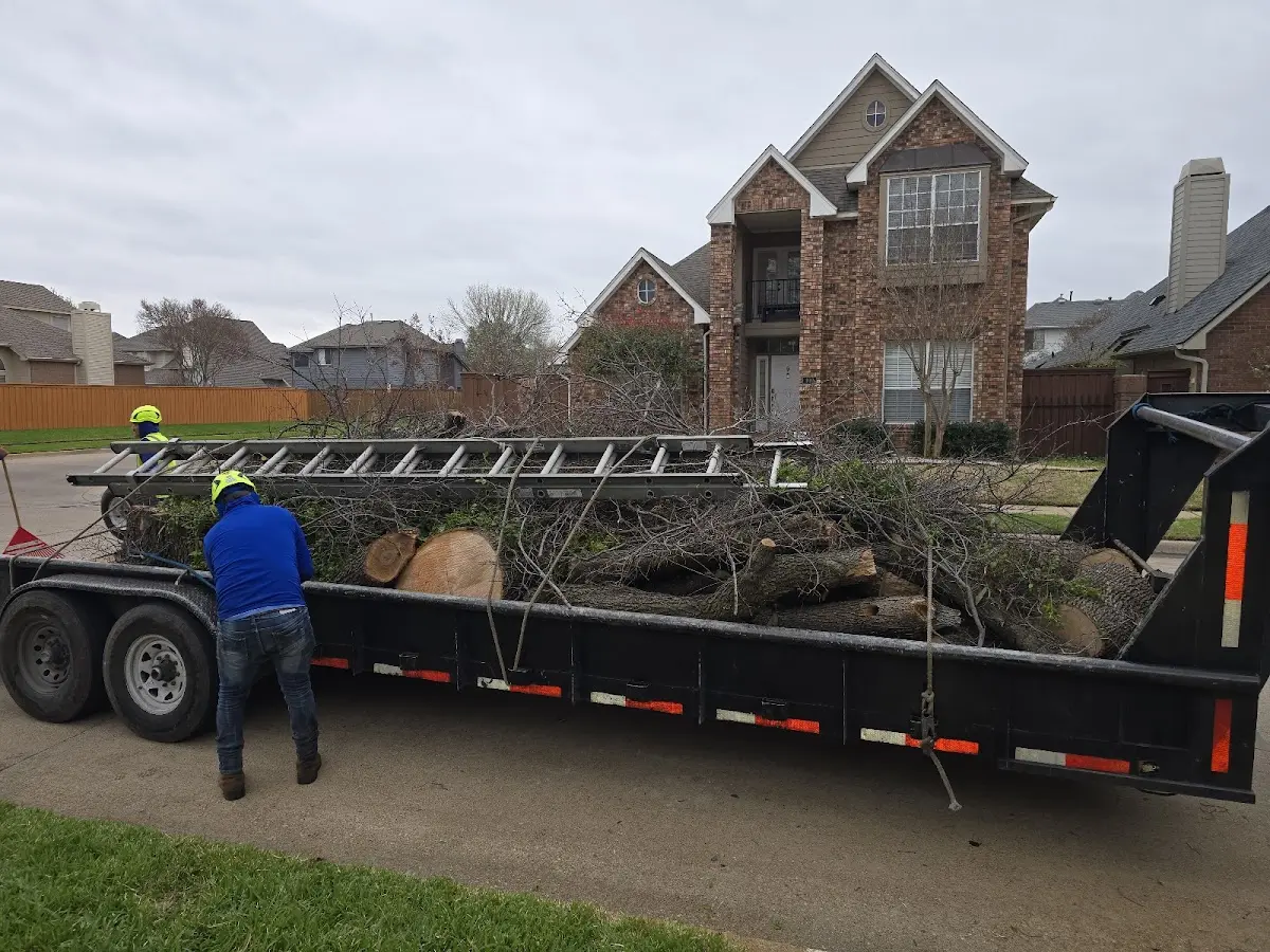 Expert Tree Pest Control with proper safety equipment in Rose Hill